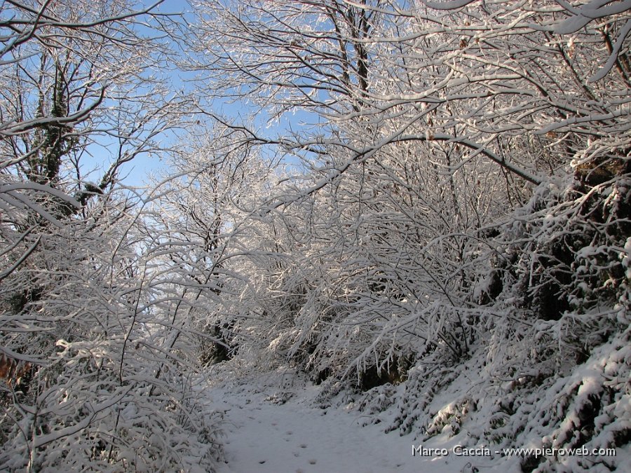 04_Paesaggio glaciale.JPG